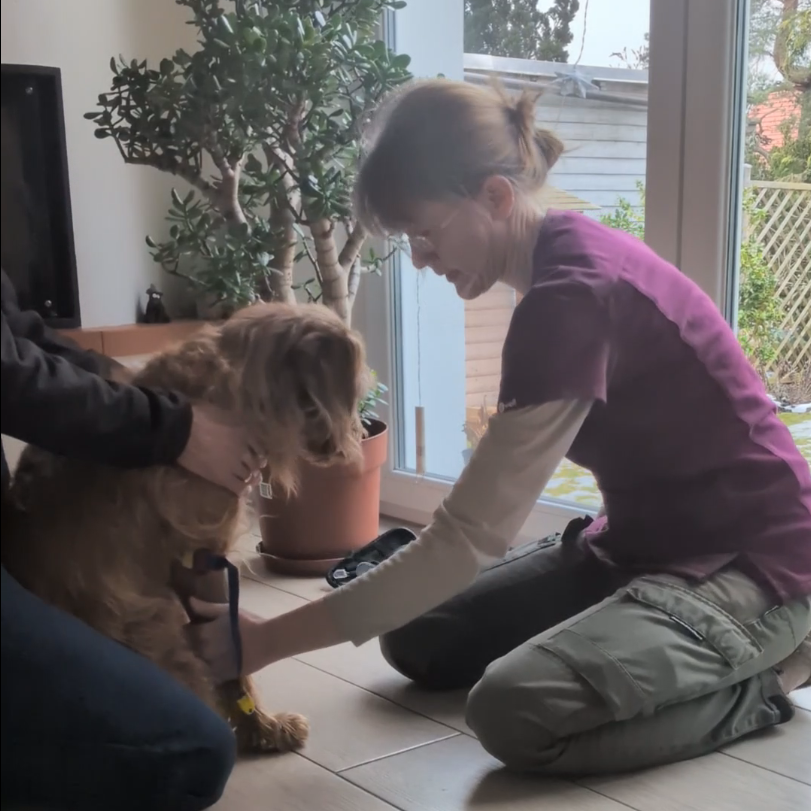 Dr. Noffke bei der Behandlung zu Hause